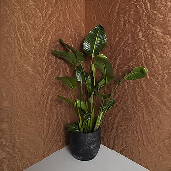 Galerie Wallcoverings Product Code 34926 - Eclectic Wallpaper Collection - Copper Colours -  
