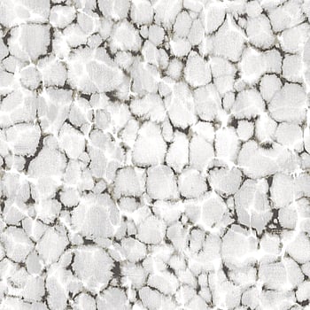 Galerie Wallcoverings Product Code 7319 - Evergreen Wallpaper Collection - Black Grey Metallic Colours -  