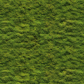 Galerie Wallcoverings Product Code WH45208M - Welcome Home Murals Wallpaper Collection - Green Colours -  